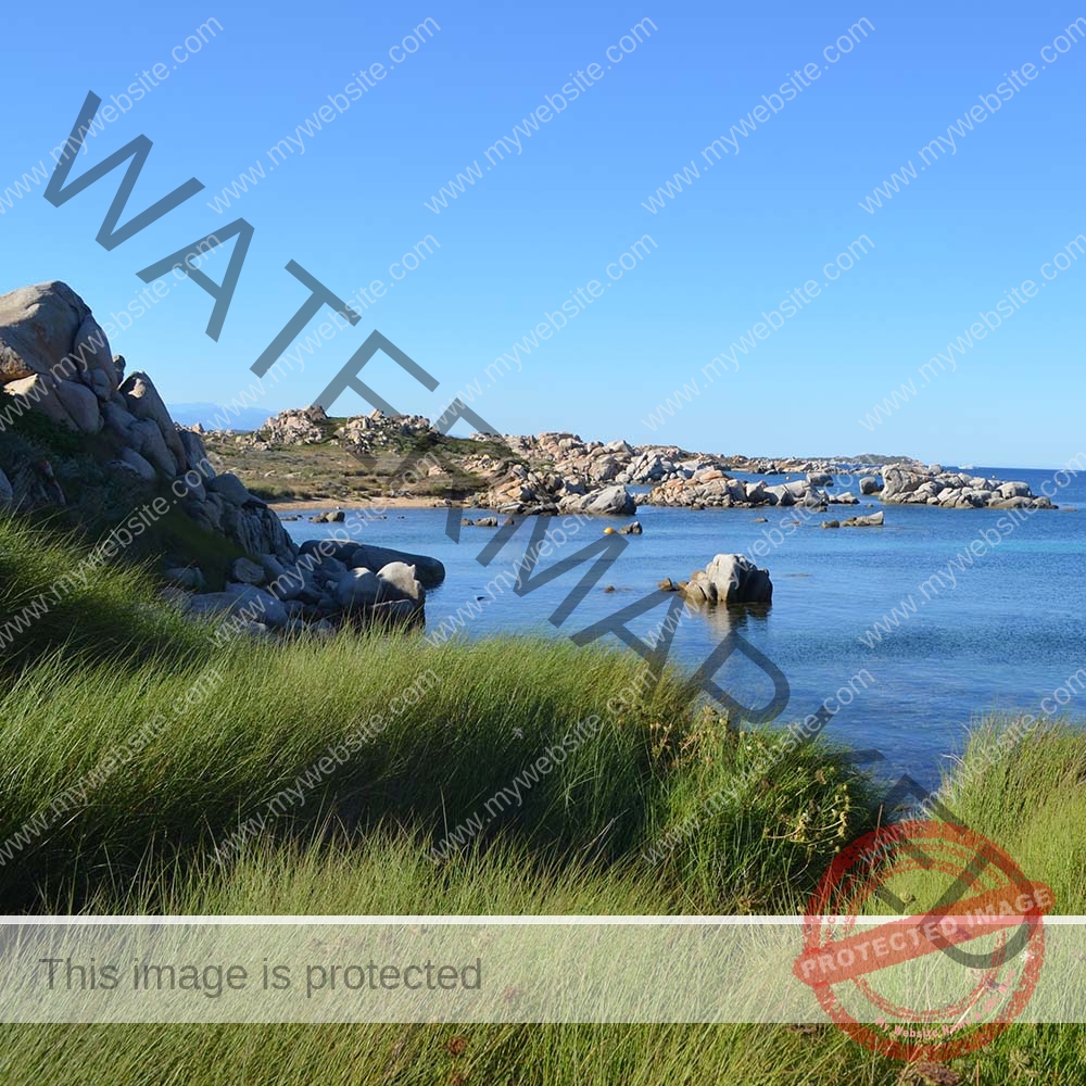 L’ÎLE LAVEZZI, BEAUTÉ AUX MILLE VISAGES