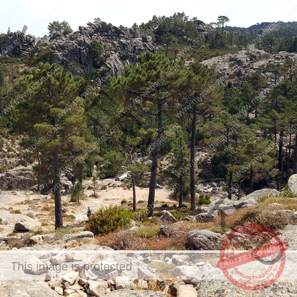 RANDONNÉE VERS PISCIA DI GALLO